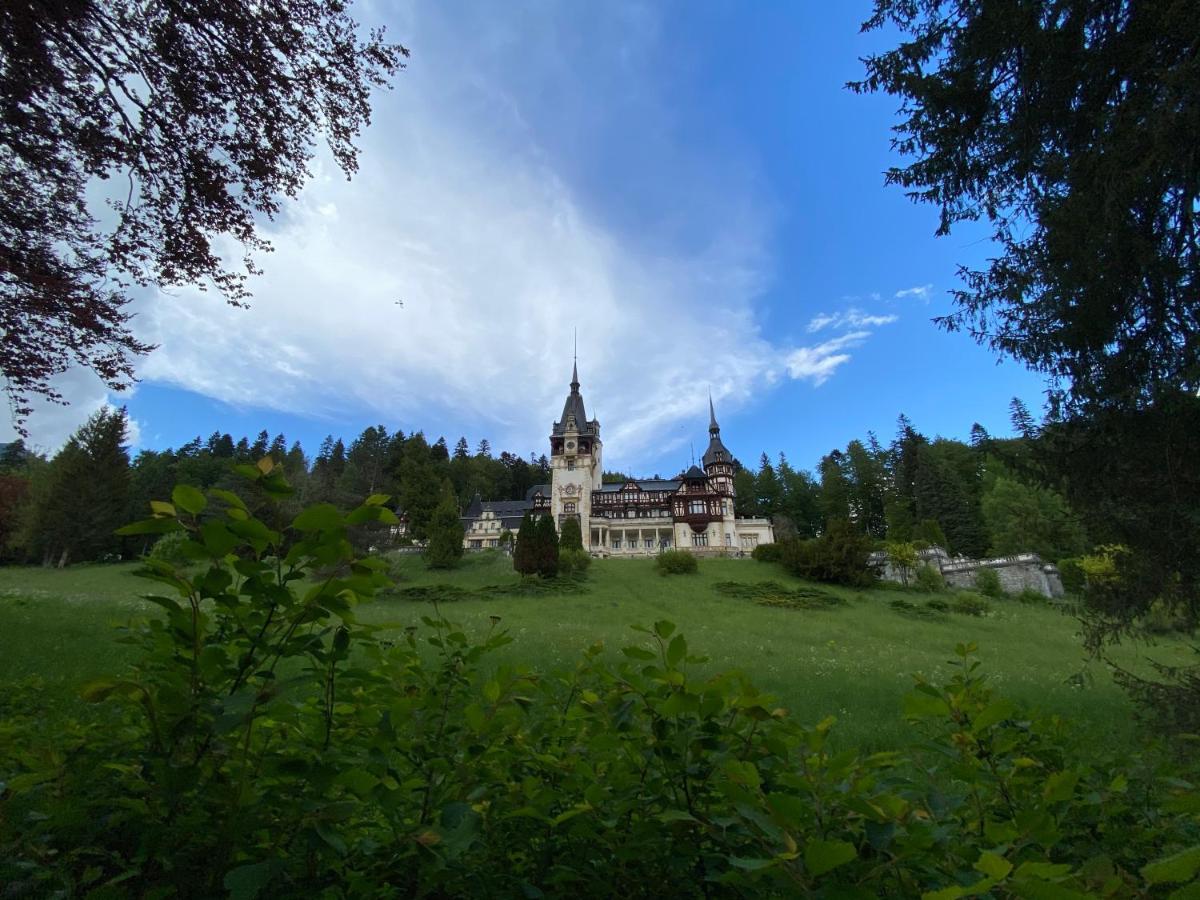 Vila De Argint Aleea Pelesului Nr 2 Sinaia Extérieur photo