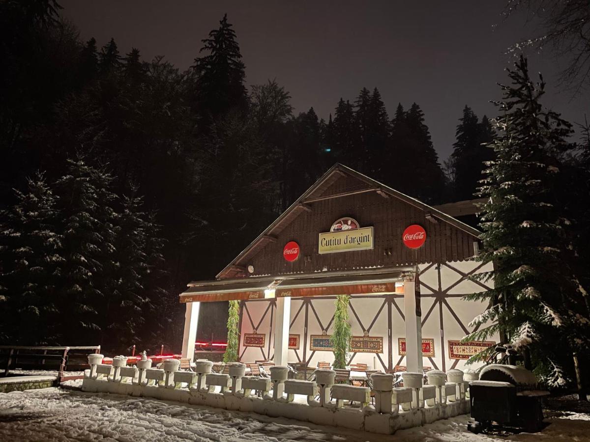 Vila De Argint Aleea Pelesului Nr 2 Sinaia Extérieur photo