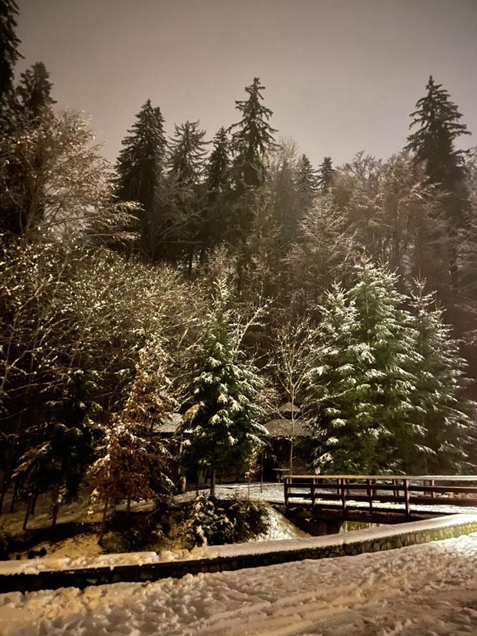 Vila De Argint Aleea Pelesului Nr 2 Sinaia Extérieur photo