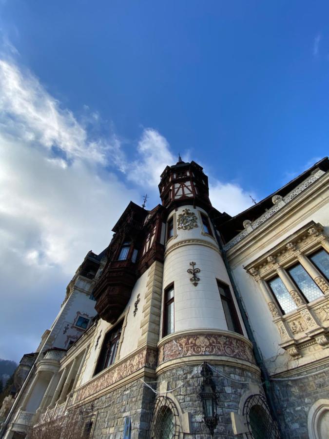Vila De Argint Aleea Pelesului Nr 2 Sinaia Extérieur photo