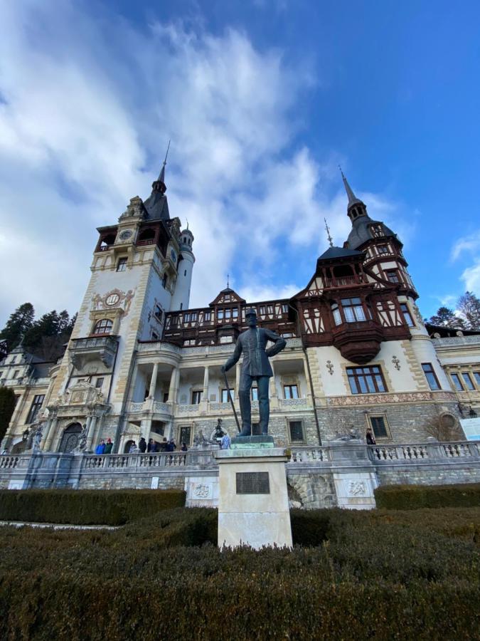 Vila De Argint Aleea Pelesului Nr 2 Sinaia Extérieur photo