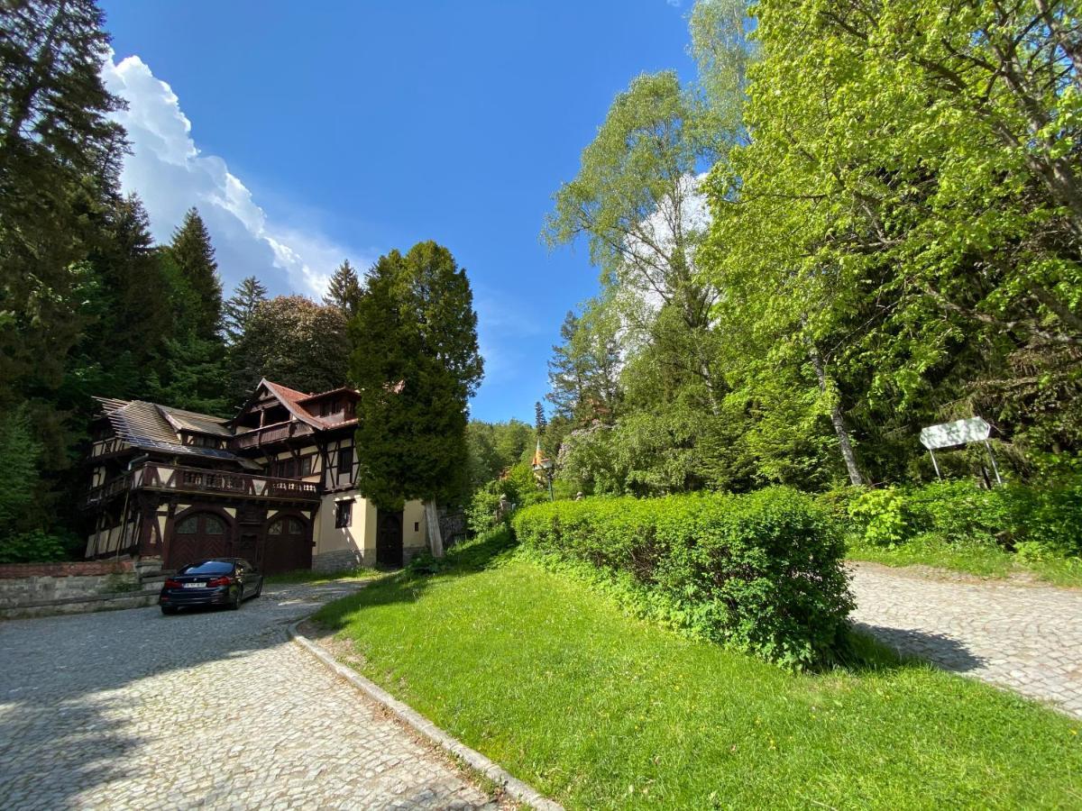 Vila De Argint Aleea Pelesului Nr 2 Sinaia Extérieur photo