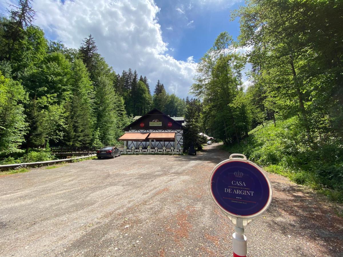 Vila De Argint Aleea Pelesului Nr 2 Sinaia Extérieur photo