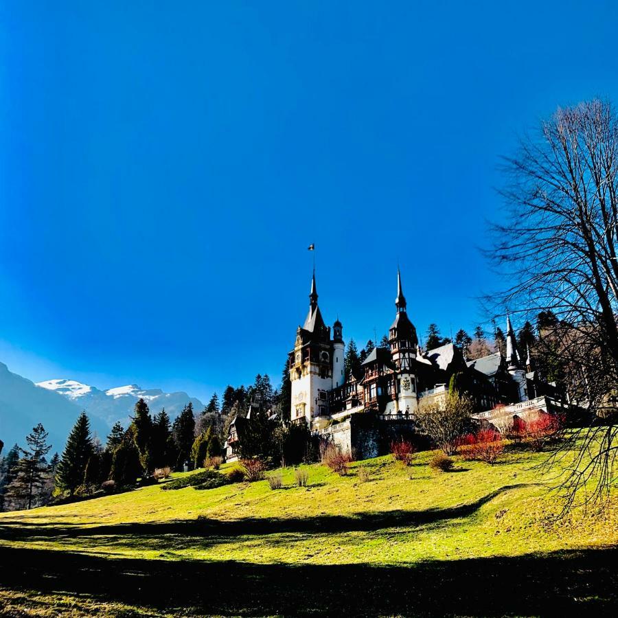 Vila De Argint Aleea Pelesului Nr 2 Sinaia Extérieur photo