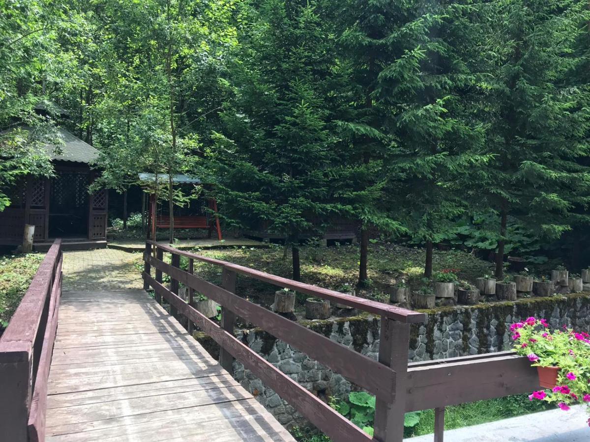 Vila De Argint Aleea Pelesului Nr 2 Sinaia Extérieur photo